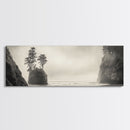 Foggy Beach, Coastal Pines, Ocean Cliffside, Nature Escape, Framed Canvas Print, Moody Wall Art, Living Room Decor, Pacific Northwest Style