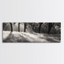 Sunrays Meadow, Tree Light, Golden Hour, Framed Canvas Print, Fall Living Room Art, Rustic Nature Decor, Warm Toned Landscape
