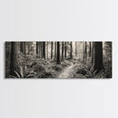 Redwood Forest, Nature Path, Fern Understory, Framed Canvas Print, Moody Nature Photography, Office Wall Art, Forest Bathing Vibes