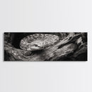Coiled Rattlesnake, Wild Nature, Black and White, Canvas Print, Rustic Decor, Man Cave Wall Art, Cabin Style, Animal Photography, Moody Art