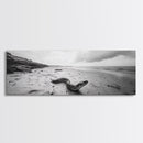 Snake On Beach, Coastal Wildlife, Dramatic Black and White, Framed Canvas Print, Nature Wall Art, Minimalist Decor, Office Statement Art