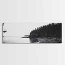 Forest Cliffs, Quiet Bay, Monochrome Coast, Canvas Print, Nature Photography, Modern Rustic Wall Art, Entryway or Office Decor
