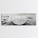 Sand Dollar, Ocean Shore, Calm Waters, Canvas Print, Coastal Wall Art, Minimalist Bathroom Decor, Seashell Beach Photography