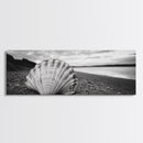 Shell on Shore, Monochrome Coastal, Canvas Print, Boho Wall Art, Bathroom Wall Decor, Natural Beach Aesthetic, Ocean Inspired Art