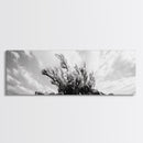 Windswept Kelp Rock, Ocean Botanical, Nature Inspired Canvas Print, Boho Style Art, Bathroom Wall Art, Sea Life Photography
