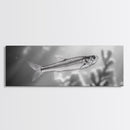 Silver Fish Closeup, Underwater Life, Marine Wildlife Art, Black and White Framed Canvas Print, Coastal Bathroom or Den Wall Art