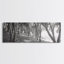 Forest Path, Tree Tunnel, Light Shadows, Woodland Magic, Framed Canvas Print, Nature Lover Gift, Entryway Wall Art, Modern Rustic Style