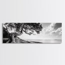 Coastal Tree, Wind Bent, Seaside Beauty, Nautical Serenity, Canvas Print, Nature Wall Art, Minimalist Decor, Coastal Living Room Art