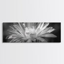 Soft Bloom, Desert Cactus Flower, Close-Up Botanical, Modern Black White Art, Framed Canvas Print, Bathroom Wall Art, Nature Photography