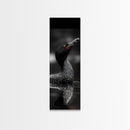 Loon Bird, Red Eye, Monochrome Wildlife, Nature Framed Canvas Print, modern living room wall art, black and white animal art