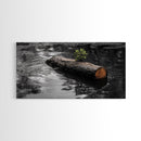 Nature Log, Life Grows, Floating Tree, Framed Canvas Print, Minimalist Growth Art, Nature Symbolism, Office Inspiration, Calm Wall Art
