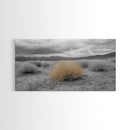 Desert Scene, Tumbleweed Beauty, Arid Landscape, Western Mood, Framed Canvas Print, Neutral Art, Entryway Wall Art, Rustic Home Style