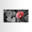 Pink Cactus Bloom, Desert Flower Closeup, Botanical Art, Canvas Print, Southwest Decor, Kitchen Wall Art, Nature Photography Print