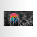 Neon Bloom Cactus, Rainbow Succulent, Desert Art, Canvas Print, Colorful Botanical Wall Art, Modern Living Room Decor, Bold Nature