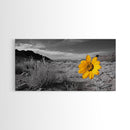 Yellow Flower, Desert Bloom, Monochrome Landscape, Canvas Print, Botanical Wall Art, Minimalist Nature Decor, Modern Kitchen Accent