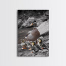 Duck Family, Nature Wildlife, Adorable Ducklings, Framed Canvas Print, Nursery Animal Wall Art, Cozy Farmhouse Decor, Fall Art Print