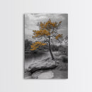 Golden Tree View, Nature Serenity, Fall Lake Art, Peaceful Pine, Framed Canvas Print, living room wall art, minimalist landscape print