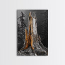 Forest Stump, Enchanted Tree, Woodland Nature, Autumn Mood, Framed Canvas Print, Rustic Wall Art, Cabin Decor, Fall Wall Accent