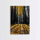 Golden Forest Light, Fall Leaves, Tall Trees Shadows, Tranquil Scene, Framed Canvas Print, Autumn Wall Art, Boho Living Room Decor