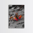 Colorful Lobster, Beach Wildlife, Close-Up Macro Art, Framed Canvas Print, Kitchen Wall Art, Coastal Marine Decor, Vibrant Style