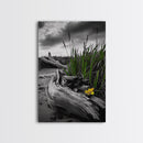 Wild Bloom, Yellow Flower, Driftwood and Grass, Moody Beach Scene, Framed Canvas Print, Autumn Wall Art, Nature Decor, Cozy Home Accent