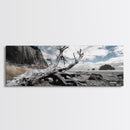 Driftwood, Coastal Tree, Beach Skeleton, Ocean Landscape, Framed Canvas Print, Coastal Decor, Neutral Tones, Office Wall Art