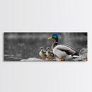 Duck Family, Nature Scene, Wildlife Birds, Lake Reflections, Framed Canvas Print, Nursery Decor, Cozy Art, Nature Lover Gift