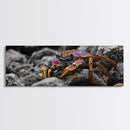 Rainbow Crab, Coastal Creature, Ocean Life, Vibrant Nature, Framed Canvas Print, Bathroom Wall Art, Coastal Home Decor