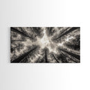 Redwood Trees, Pine Tree Art, Nature Photography, Joshua Tree Art, Extra Wide Art, Forest at Dusk Painting, Canvas Print