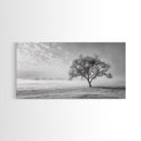 Solitary Tree, Minimalist Art, Landscape Painting, Oak Tree Art, Extra Wide Art, Moody Art, Wabi Sabi Wall Art, Framed Canvas Print