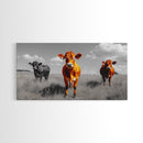 Highland Cows Canvas Print | Rustic Farmhouse Art | Black and White Cattle Painting | Moody Art | Above Sofa Wall Art | Extra Wide Art
