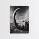Ancient Horn, ozymandias art, rustic wall art, moody decor, nature landscape art, wabi sabi art, framed canvas print, farmhouse decor