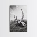 Large horns, rustic skull, bull and bear art, moody wall art, desert decor, cowboy aesthetic, framed canvas print, minimalist art