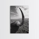 Lone Horn, desert minimalism, rustic western art, wabi sabi decor, moody photography, framed canvas print, black and white, southwest art