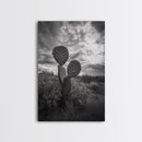 Prickly Pear, cactus art, Joshua tree art, wabi sabi art, moody art, black and white, framed canvas print, minimalist decor, rustic wall art