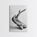 Driftwood Sculpture, wabi sabi art, rustic decor, minimalist art, botanical prints, farmhouse art, framed canvas print, living room art