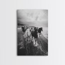 Horse wall art, wild mustangs, moody art, rustic decor, nature photography, black and white art, panoramic art, canvas print, living room art