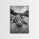 Lizard art, wildlife photography, moody art, desert decor, black and white photography, wabi sabi wall art, framed canvas print, unique gift