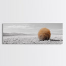 Tumbleweed, Desert Landscape, Southwest Wall Art, Minimalist Art, Extra Wide Art, Panoramic Art, Framed Canvas Print, Wabi Sabi Art