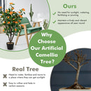 3.3 Feet Artificial Camellia Tree for Indoor and Outdoor by LJGDeals