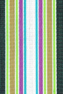 Spring Fling Webbing