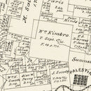 Vintage Map of Anderson County, Texas 1879
