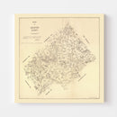 Vintage Map of De Witt County, Texas 1881