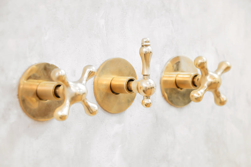 Classic Brass Shower Head and Handheld Assembly - BRASSMA