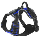 GBruno Light Up Dog Harness by GBruno Store