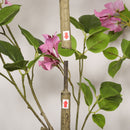 Artificial Bougainvillea Tree With Pot, Realistic Faux Flowering Plant Leaves And Blooms, Decor For Home Office - Green Leaves / Pink by HouseOfZazla