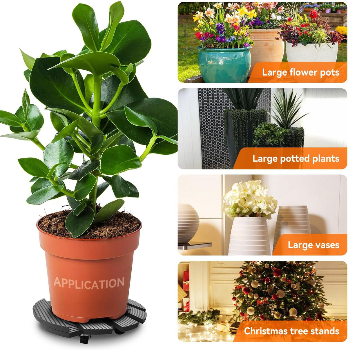 6-Pack 12" Round Plant Stand with 360° Lockable Caster Wheels, photo 5 of 8
