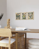 Adolphe millot butterfly set