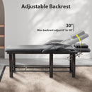 Professional Massage Table