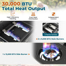 30 000 BTU Outdoor Burner Propane Gas Grill on Wheels-Black by DirectDeals